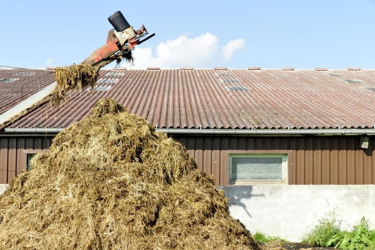 nawóz kurzy pod ogórki