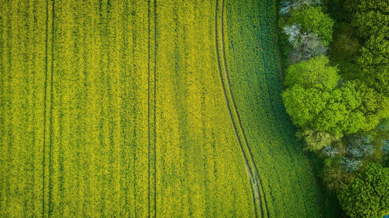 dopłaty do nawozów pola