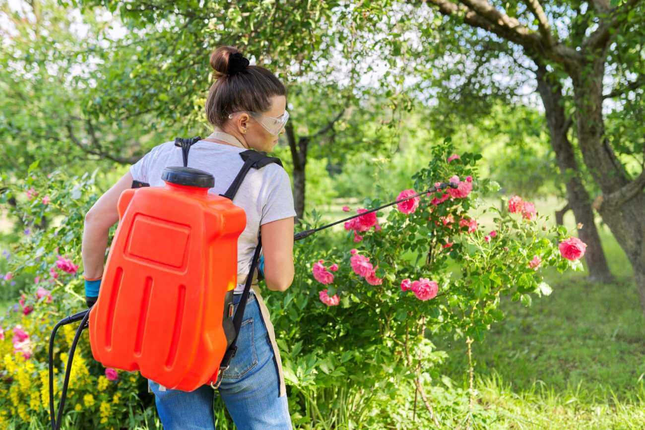 siarczan magnezu oprysk